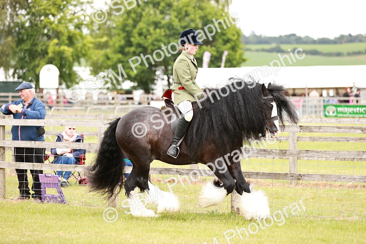 SBM_06134 - Class 39-41 TGCA In Hand and Ridden