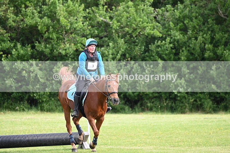 WJ6_2239 - Class 2 40cm