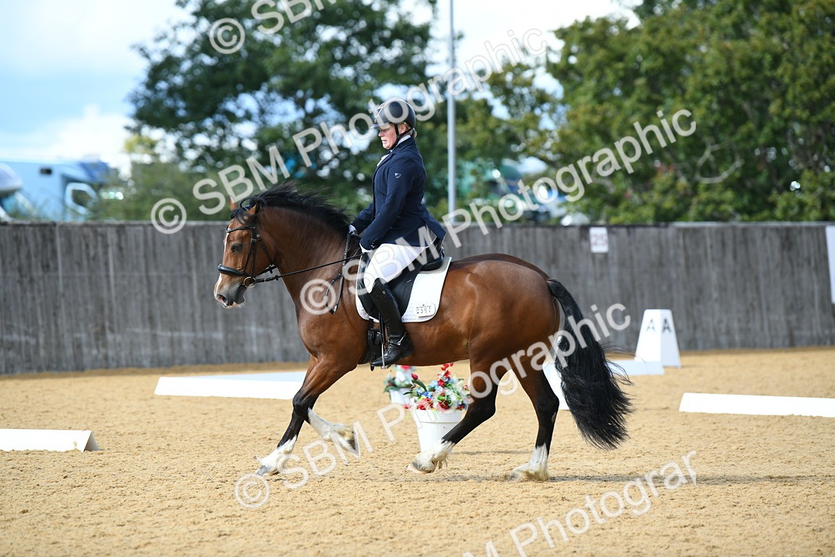SBM_07445 - D15 Small Tour Championship Novice 24