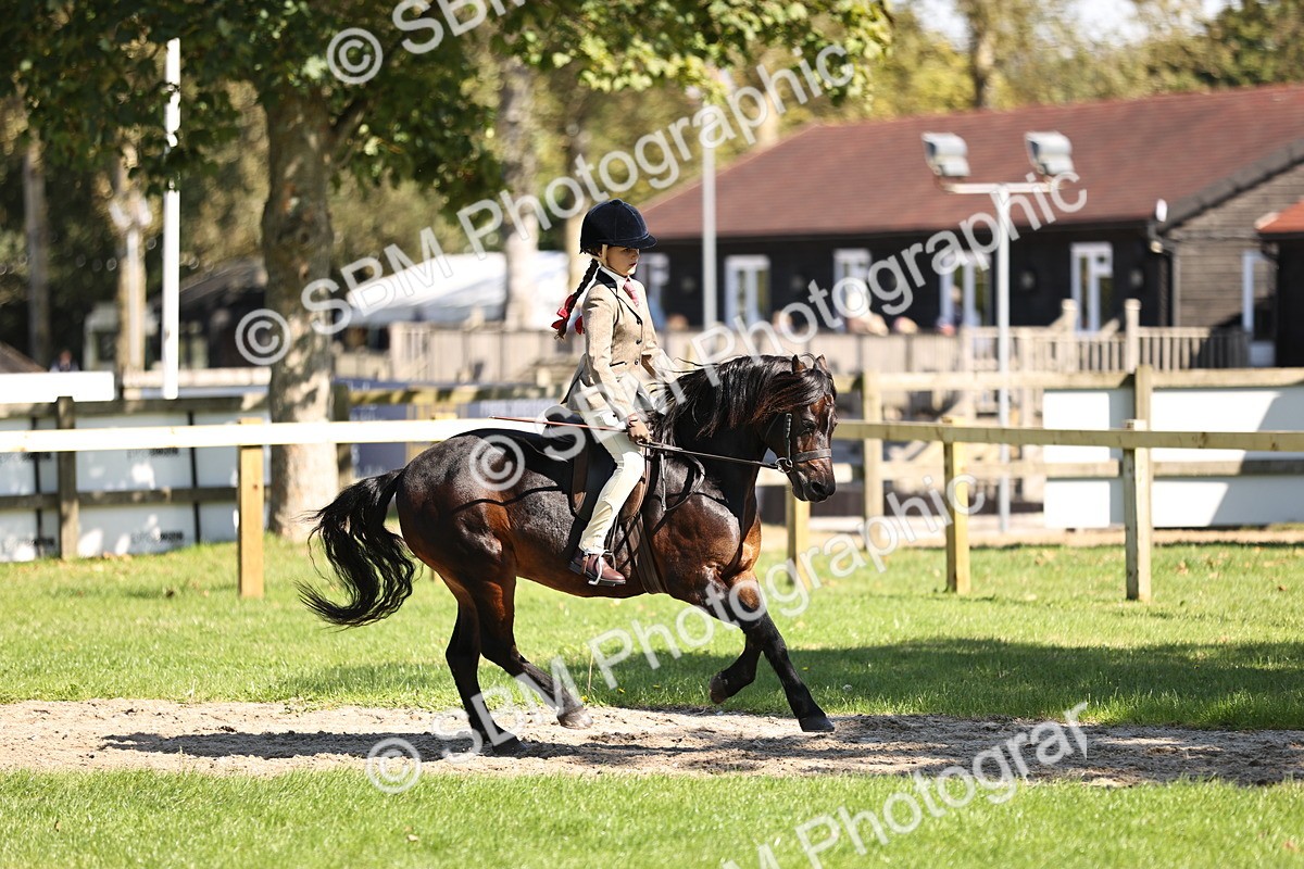 SBM_19336 - S3 - TSR Ridden Pony Showing