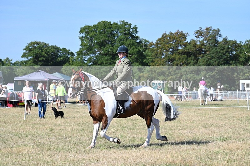 WJ7_3274 - Class 8 Ridden Tack & Turnout