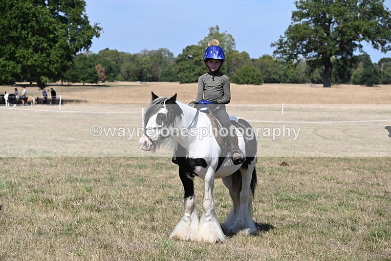 WJ6_9068 - Class 38 Ridden Riding Horse/Pony