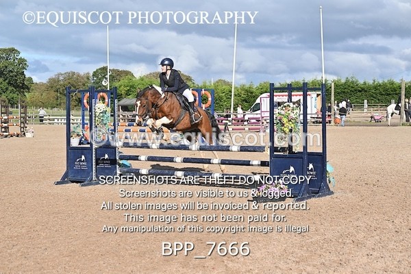 BPP_7666 - CLASS 10 Pony British Novice / 0.80m Open