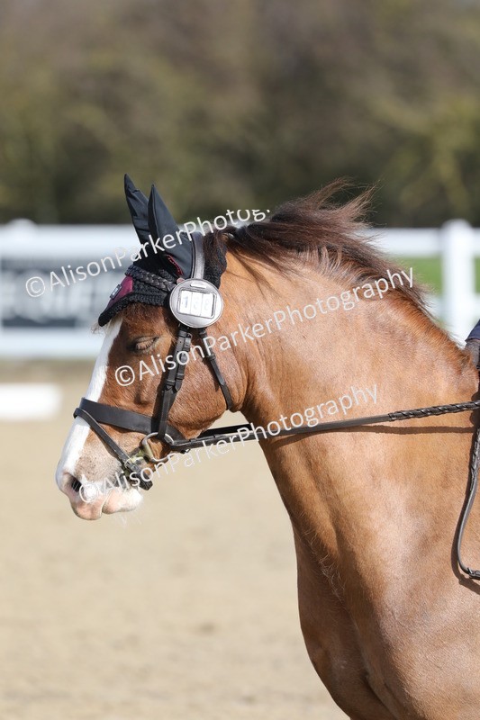 20260314-0265 - DR1 - Intro 1