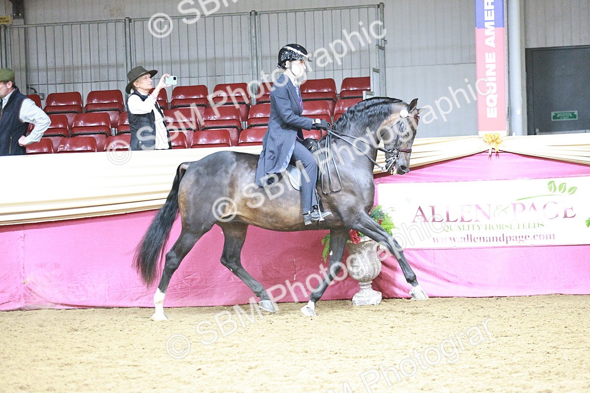 SBM_03345 - Class 6A Area Ridden Pre-Vet