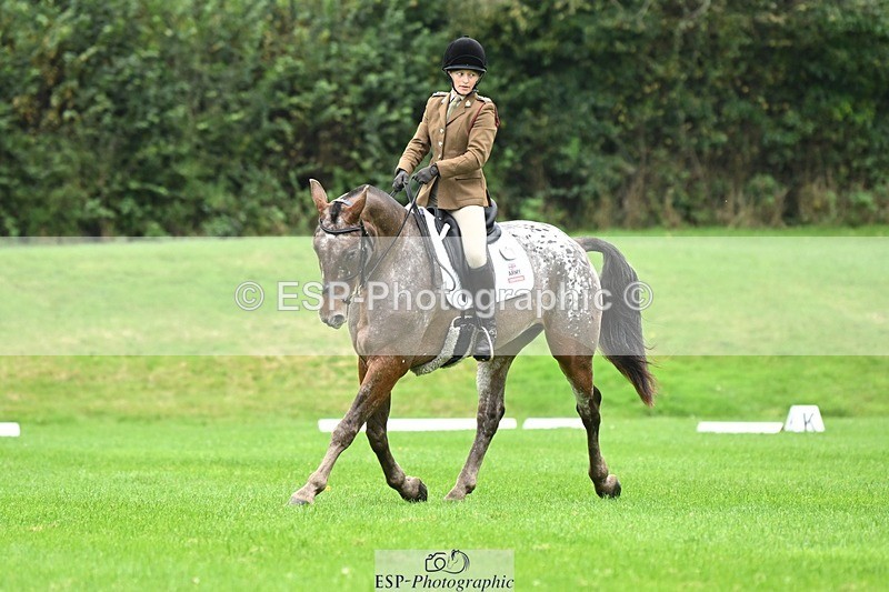 241024-105043-03068 - 501-Captain.Holly.Day-MUSTANG