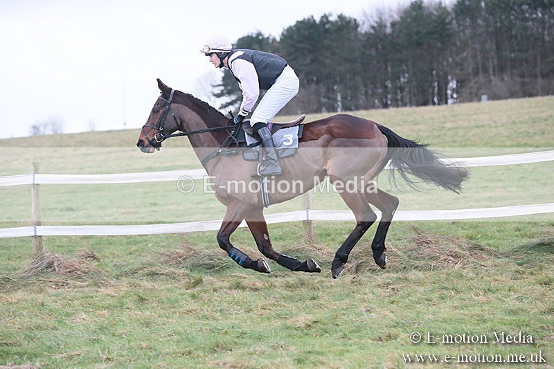 PtP 230119 303 - Royal Artillery Point-to-Point  - Larkhill  - 26/01/19