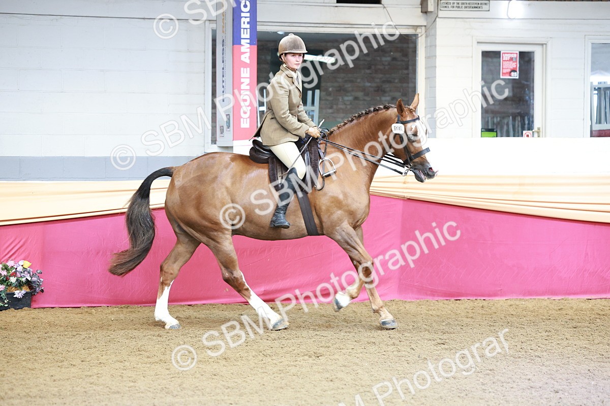 SBM_11971 - Class 102 - Equitation (Best Rider) Adult
