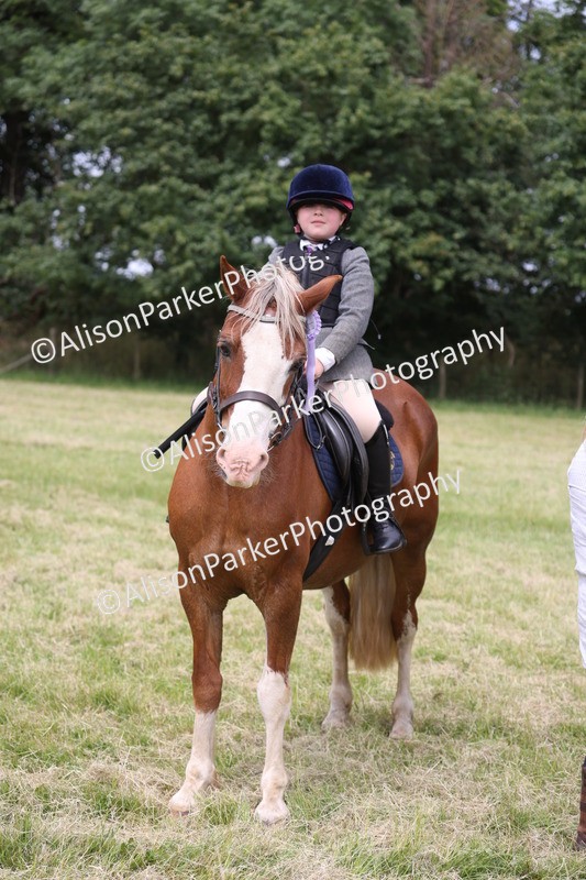 20260614-3213 - Class 22 - Open Working Hunter