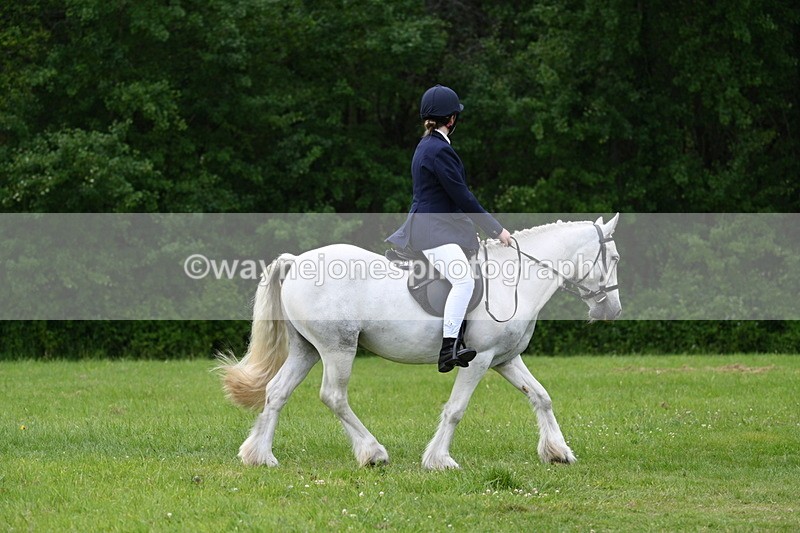 WJ7_2609 - Class 12A Coloured Class