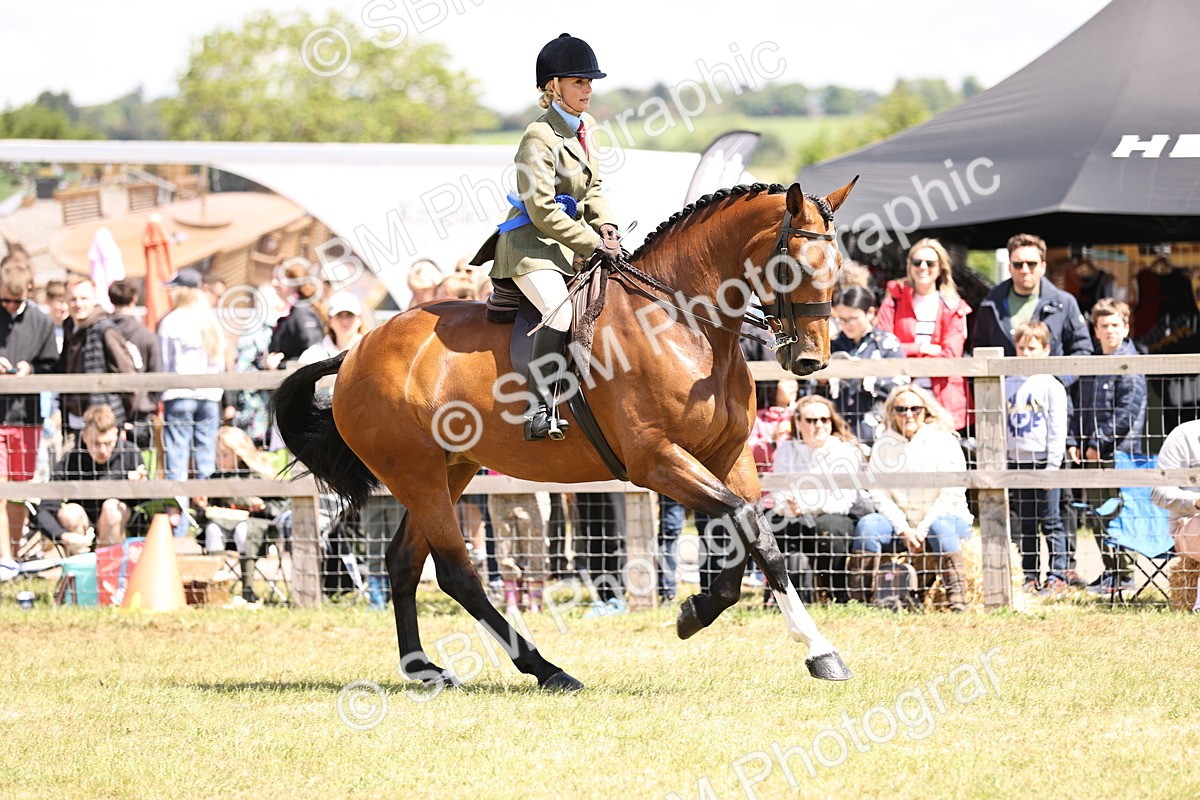 SBM_14763 - Class 88-89 - LIHS BSHA Rising Star of Ridden Hunter Type
