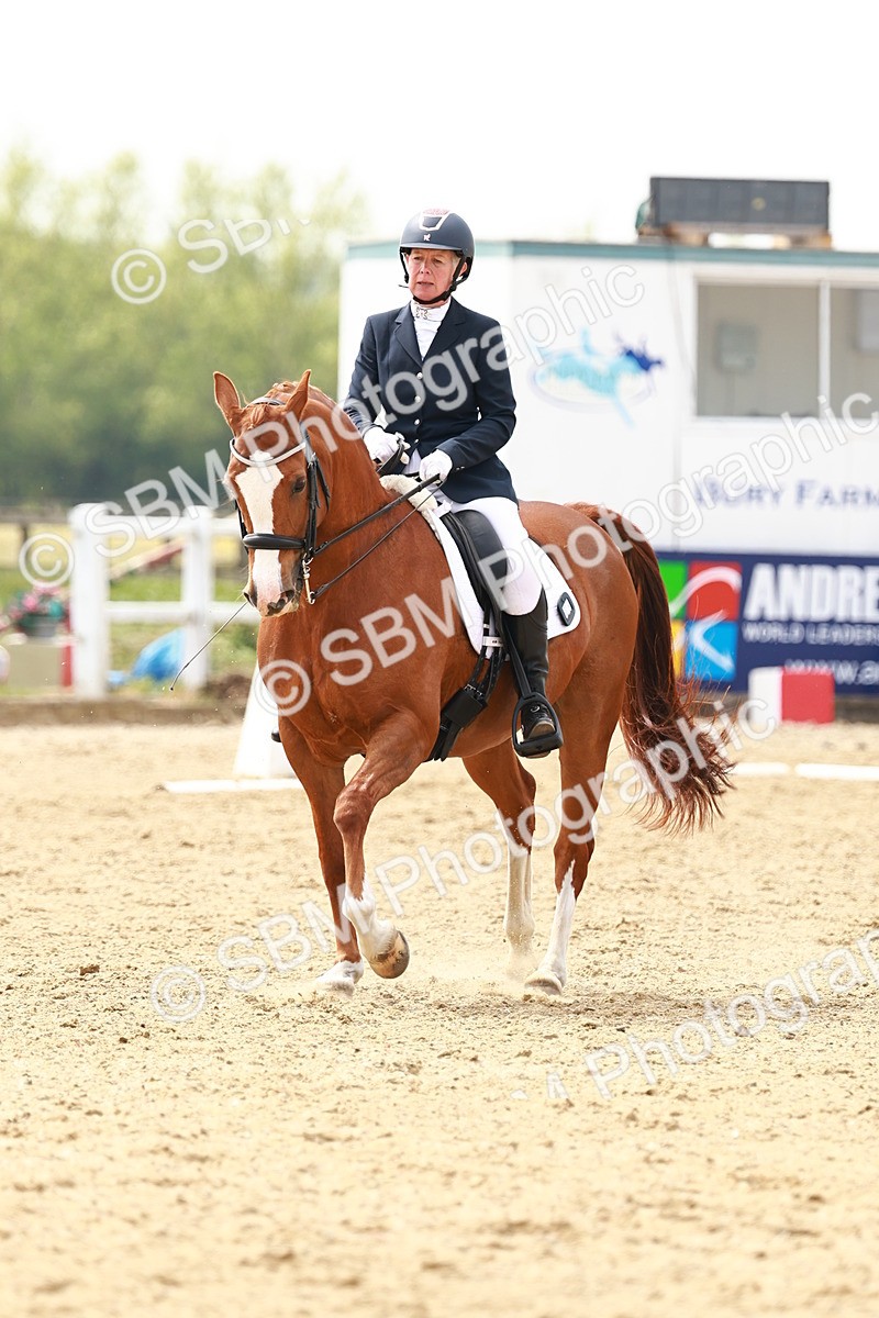 SBM_002878 - Class 12 - Medium 4