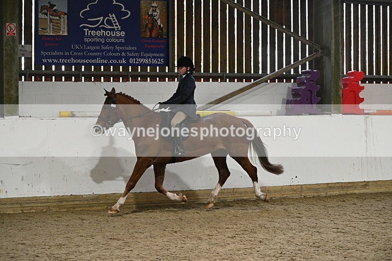 WJ7_4156 - Class 17 Ridden Cob