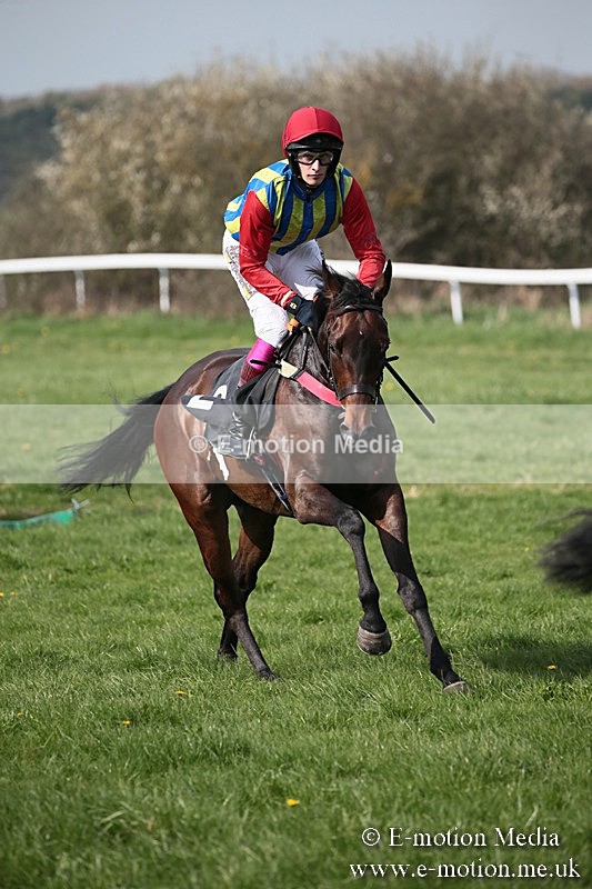 PtP 210418 432 - South & West Wilts Point-to-Point Larkhill 21/04/18