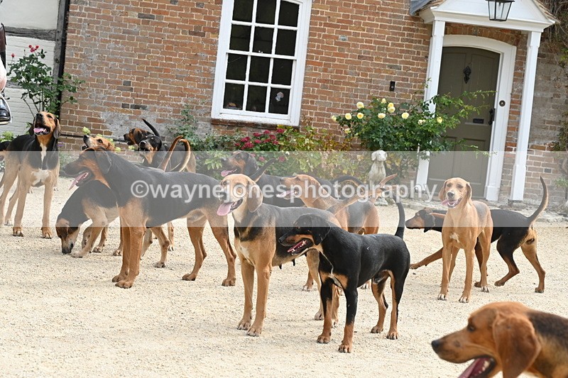 WJ6_3373 - Berks & Bucks - The Old farmhouse - Hound Exercise 20-08-25