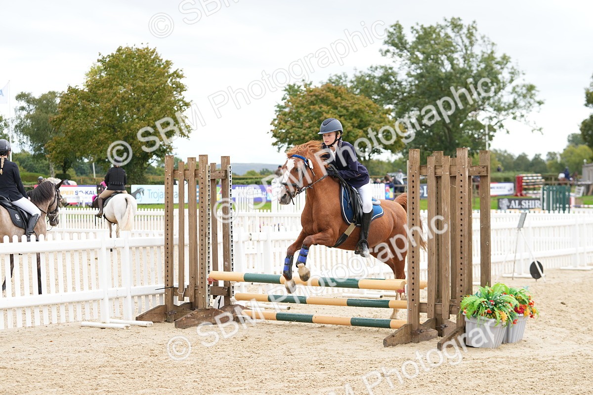 SBM_43464 - J7 - Junior Pony 60cm Championship