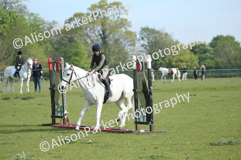 20260426-0174 - Class 13 - Rookie Jumping 50cm