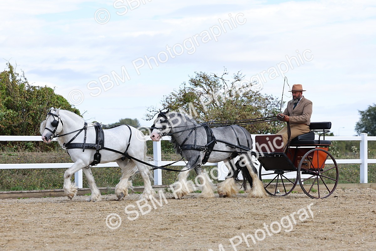 SBM_001191 - Class 16 - Pairs ,Multiples and Tandems