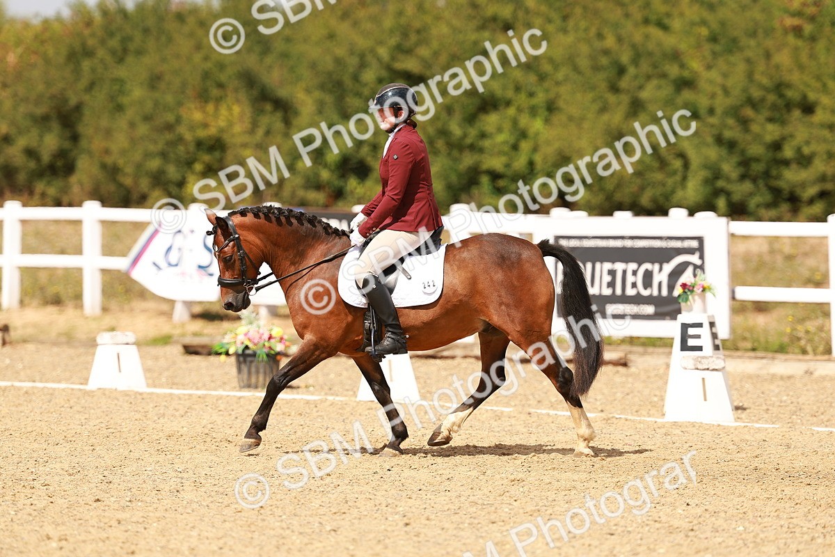 SBM_018617 - Class 9 - N5 Bronze 11.57.13.07