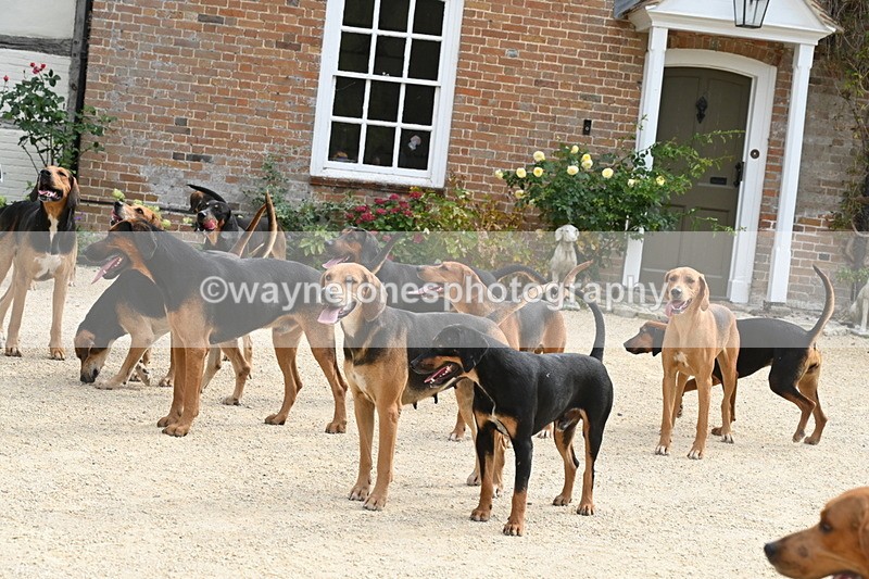 WJ6_3372 - Berks & Bucks - The Old farmhouse - Hound Exercise 20-08-25
