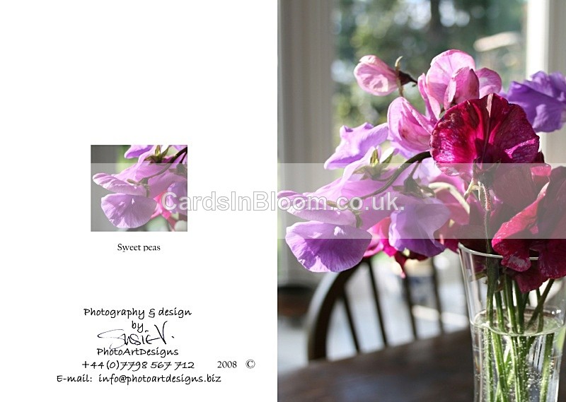 Summer 1. Sweet peas - Summer