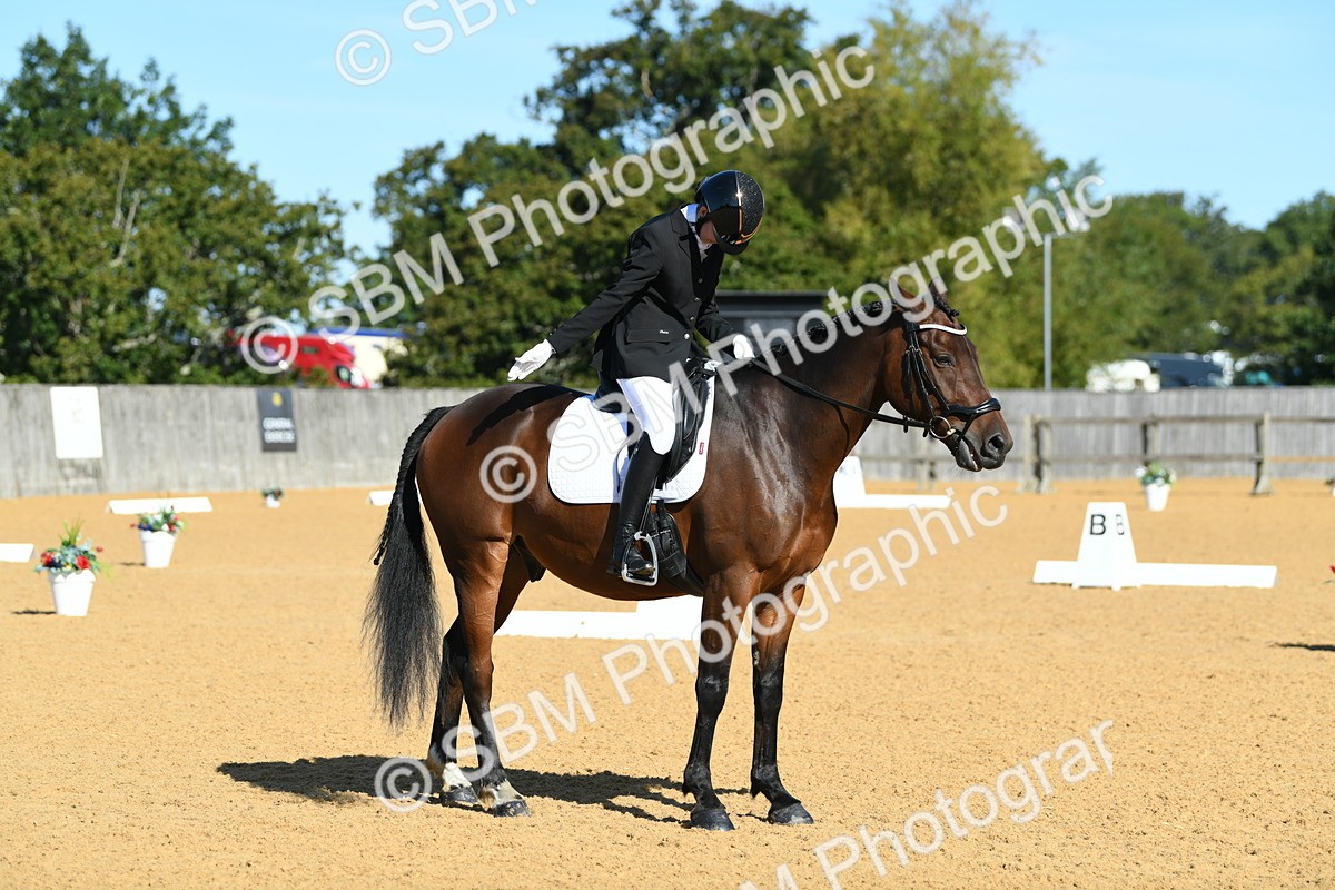 SBM_18005 - D4 - Small Tour Championship - Intro B
