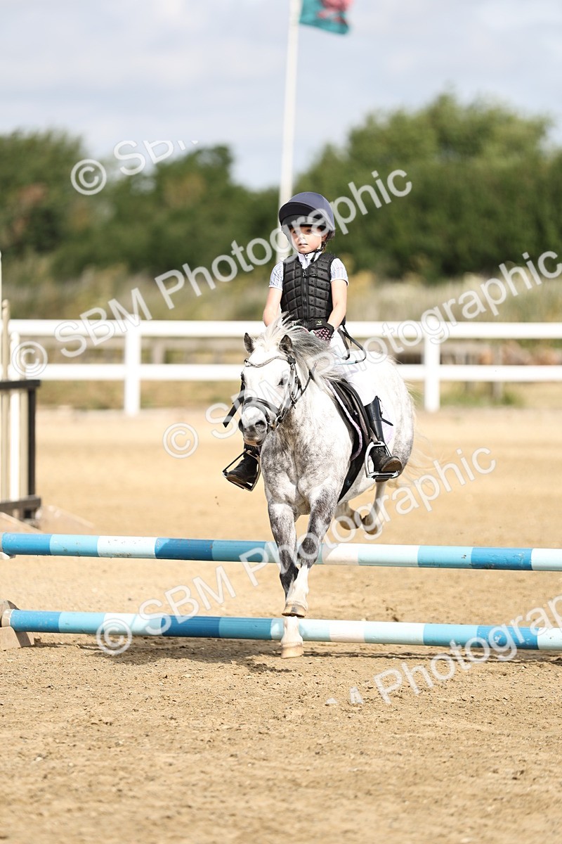 SBM_003491 - 50cm showjumping