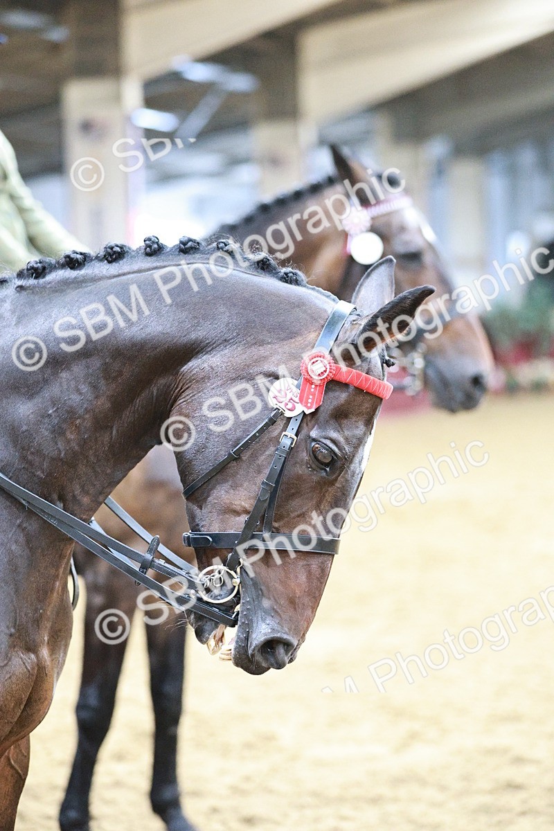 SBM_07199 - Class 10R - Regional Ridden Diamond