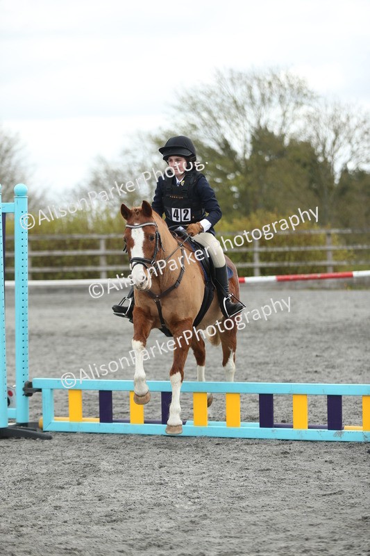 20260412-0613 - Show Jumping