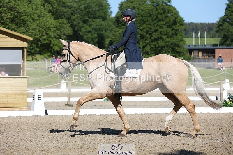 230526-093454-05105 - 356-THE_DUMB_BLONDE-Kat_Raybould-WEDTrotUp+DR