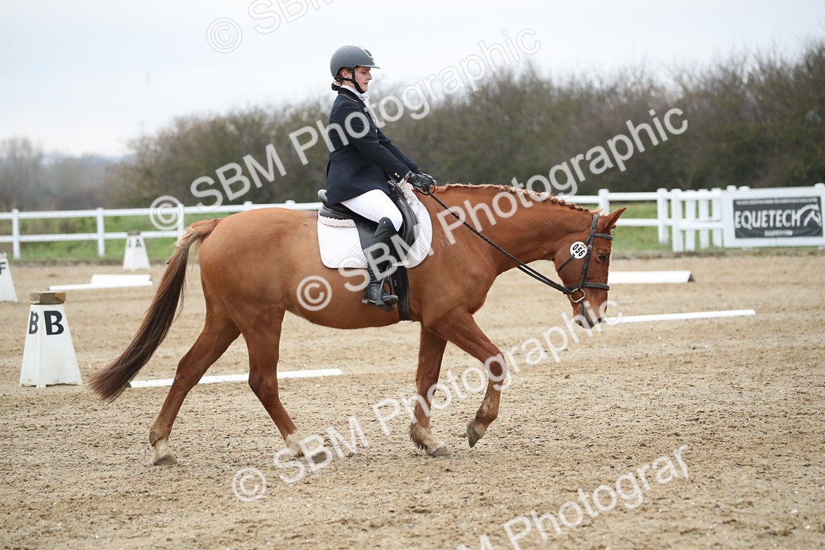 SBM_004833 - Novice 3
