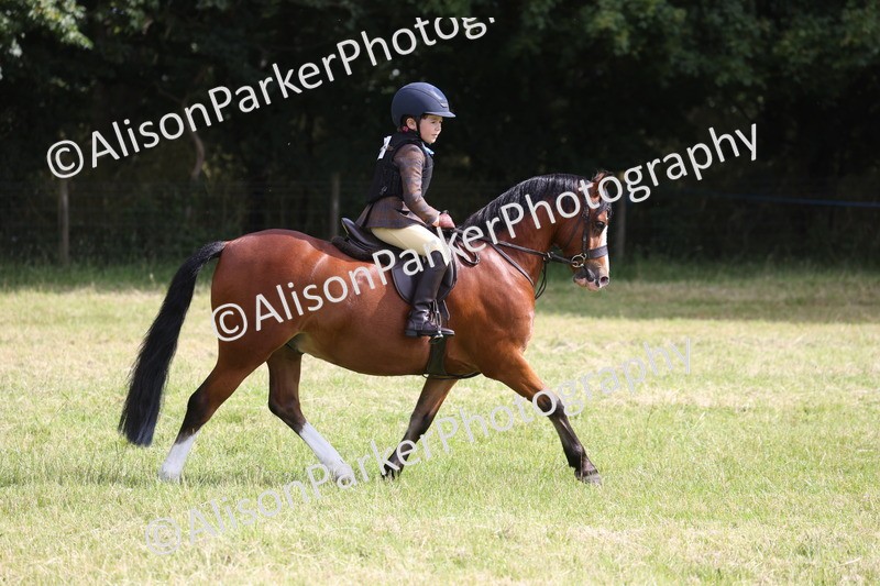 20260614-0494 - Class 20 - Beginners Working Hunter Pony