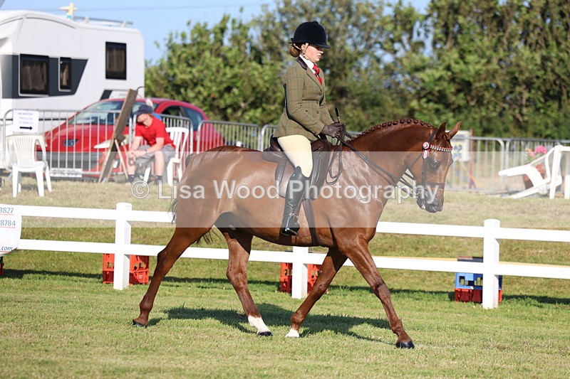 3E7A4904 - Class 1: Rising Star Small Hack/Riding Horses
