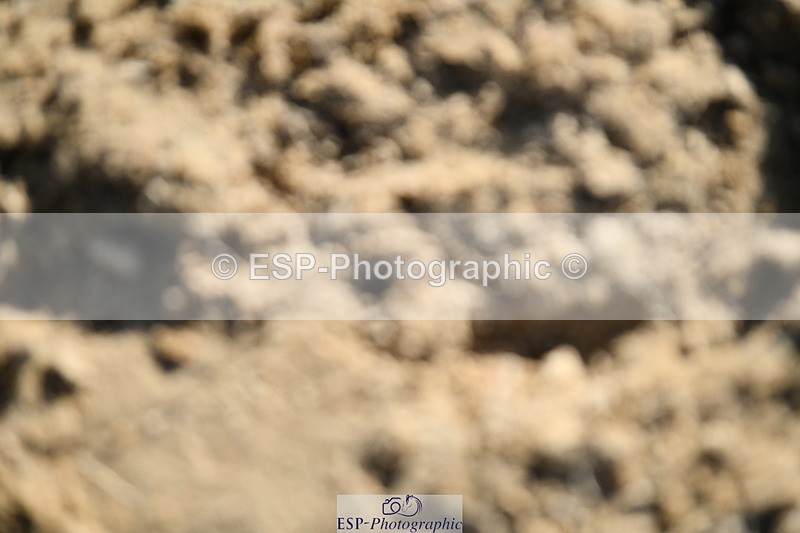 251004A-152403-01814 - Classes 8 & 9 70cm