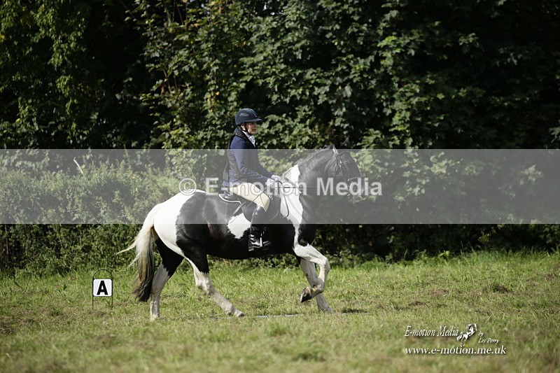 BVRC 120921 313 - Bourne Valley Riding Club UA Dressage & Show Jumping 12/09/21