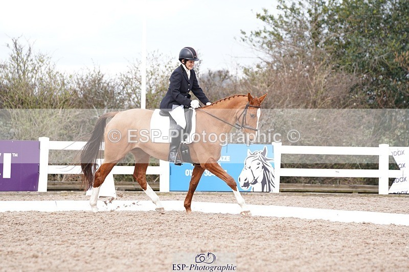 250322-103652-00155 - DR Novice 1 Test