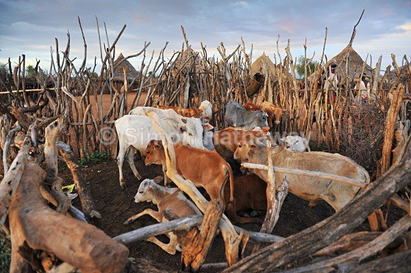  - Cursed Angels of the Omo Valley
