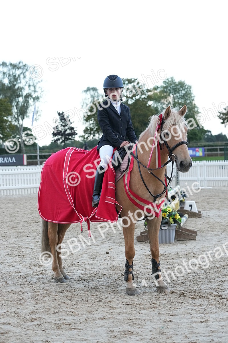 SBM_54239 - Supreme Championship 60cm 65cm