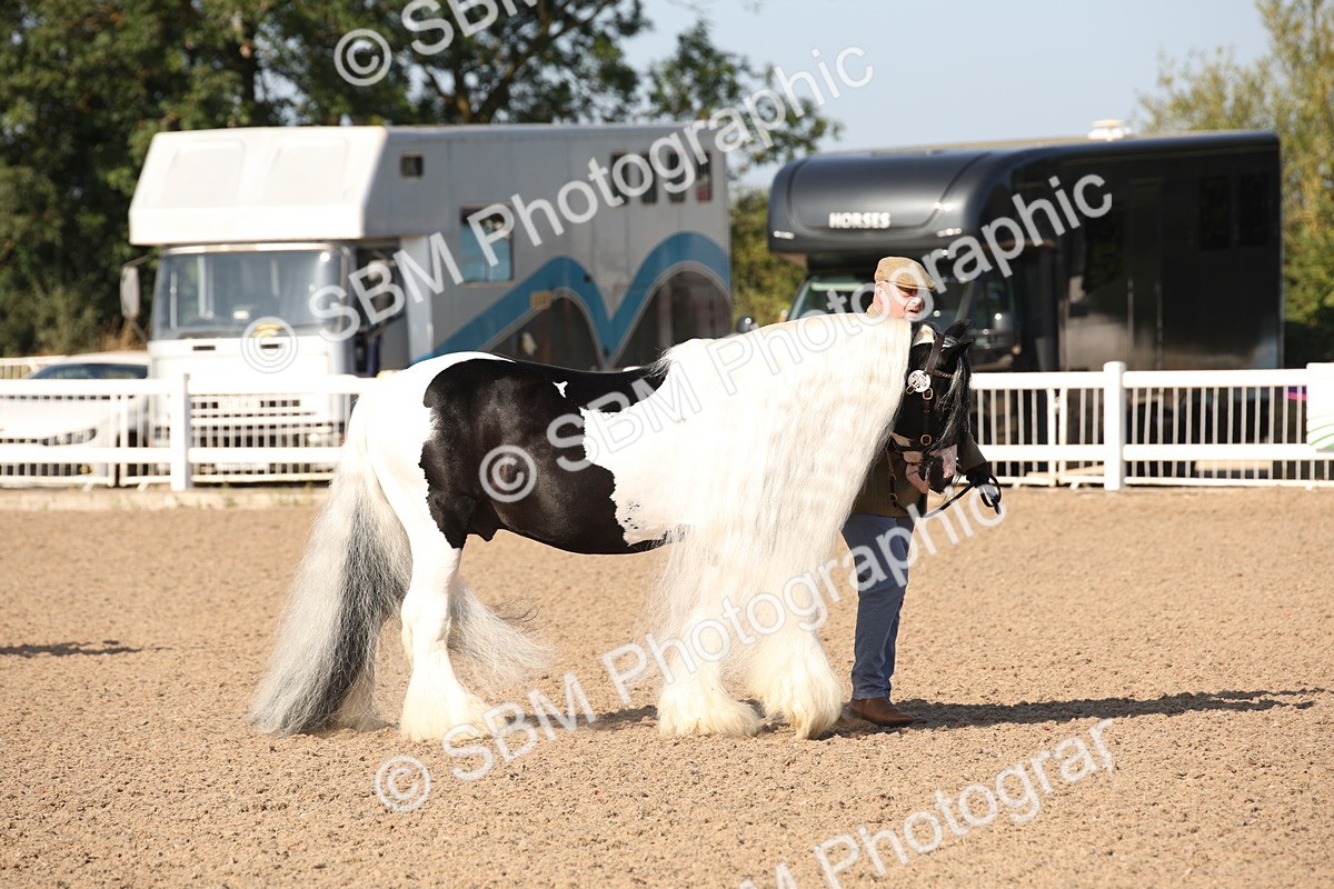 SBM_01425 - Class 15 IH Coloured