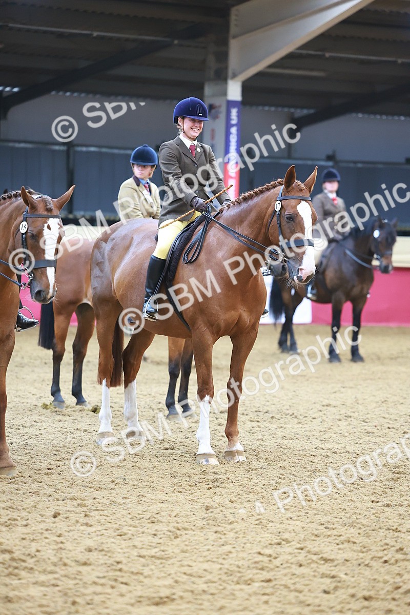 SBM_12685 - Class 103 - HOYS Veteran Qualifier - Ridden Pre Vet