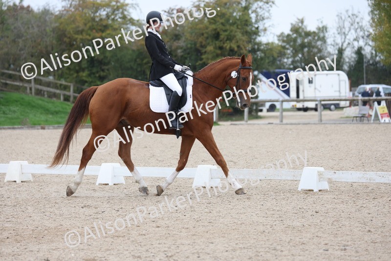 20251011-0571 - Class 4 - Novice 2