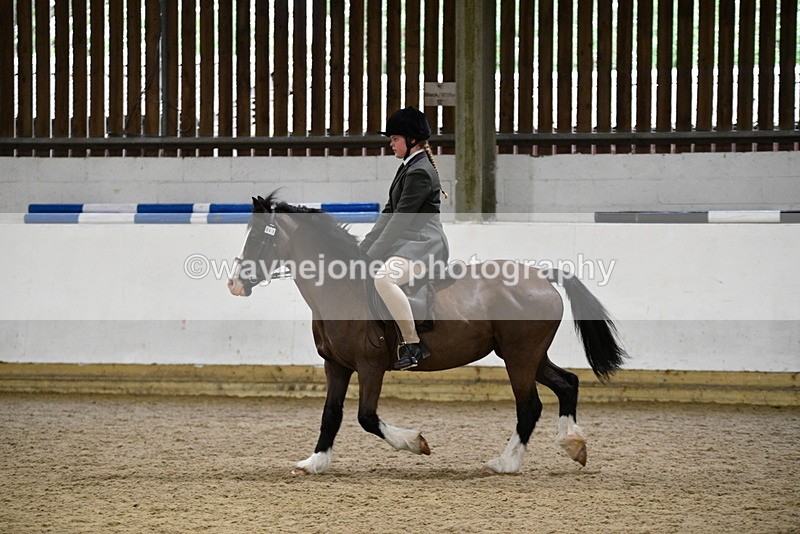WJ5_8432 - Class 14 Novice Ridden/Rider