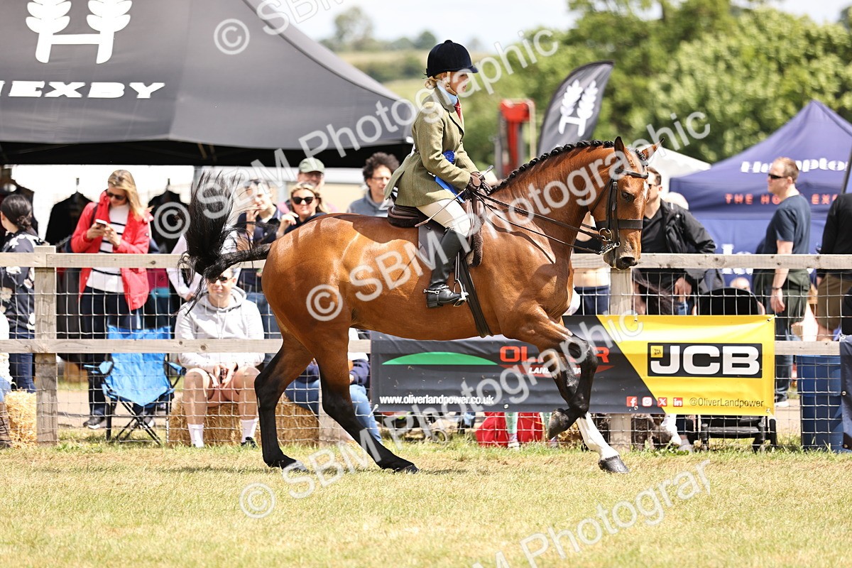 SBM_14789 - Class 88-89 - LIHS BSHA Rising Star of Ridden Hunter Type