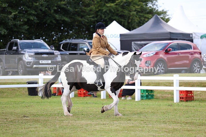 3E7A9640 - Class 5: Rising Star Lightweight/Heavyweight Cobs