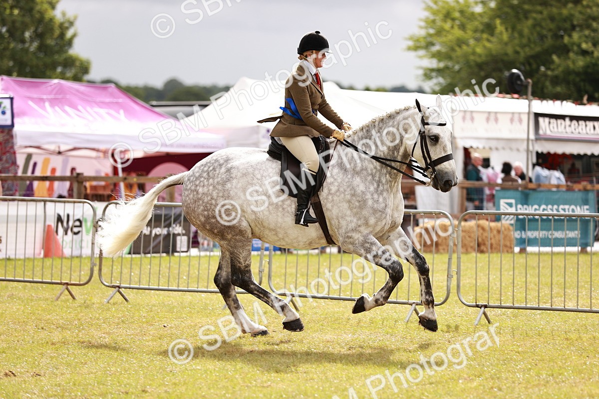 SBM_11574 - Class 81-84 - RIHS Ridden hunters Inc Ladies Hunter