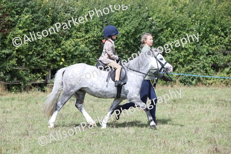 20250831-2776 - Class 17 - Lead Rein Pony