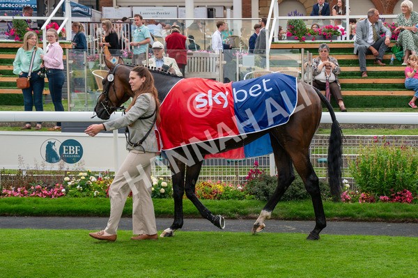 080925-Race 7-Canvas-4421 - Race 7 5.30pm Sky Bet, For The Fans Mile Apprentice Handicap