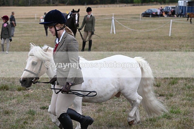 WJ6_6141 - Class 19 In-hand Veterans (Uploaded correct folder)