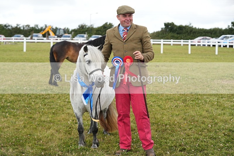 DSC05997 - NPS M&M In Hand Championship