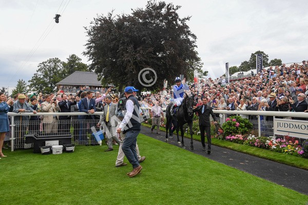 230823-Race 4-Mostahdaf-0362 - Race 4 3.35pm Juddmonte International Stakes
